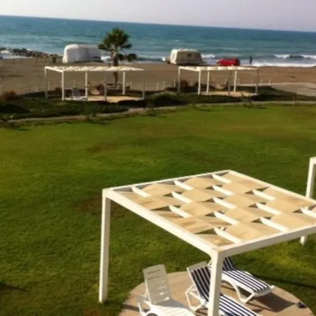 Beach City Fun * Syrianochori