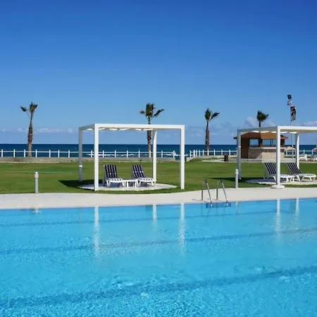 Beach City Fun Syrianochori